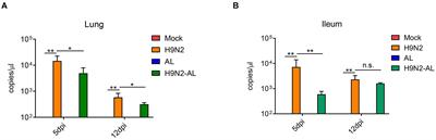 Nitrate Is Crucial for the Proliferation of Gut Escherichia coli Caused by H9N2 AIV Infection and Effective Regulation by Chinese Herbal Medicine Ageratum-Liquid